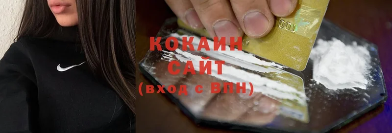 сайты даркнета клад  Орехово-Зуево  COCAIN Fish Scale  цена   ссылка на мегу зеркало 